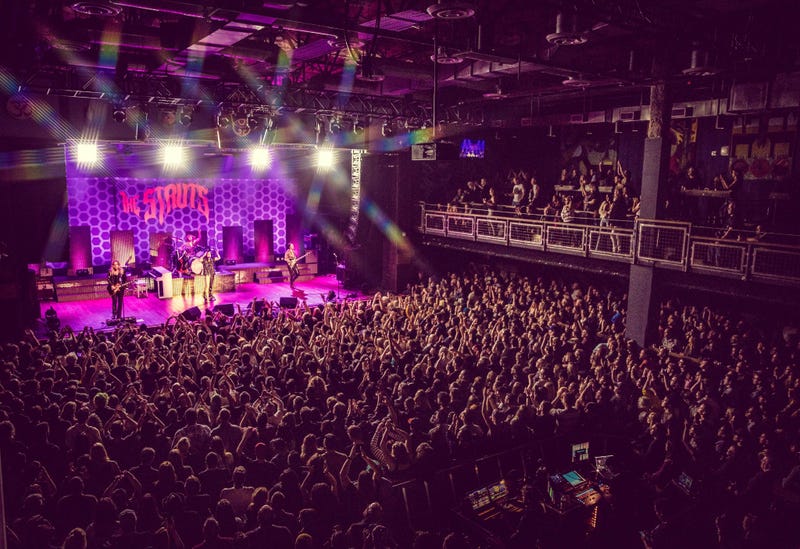 The Struts
