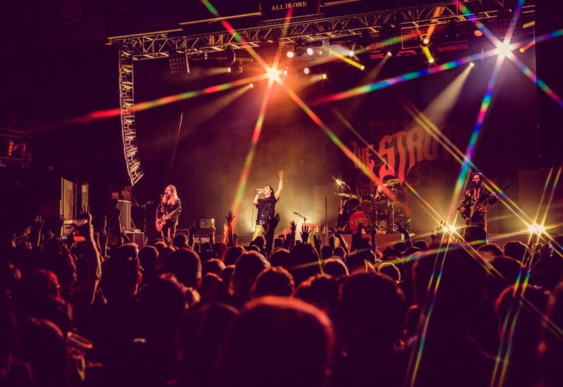 The Struts