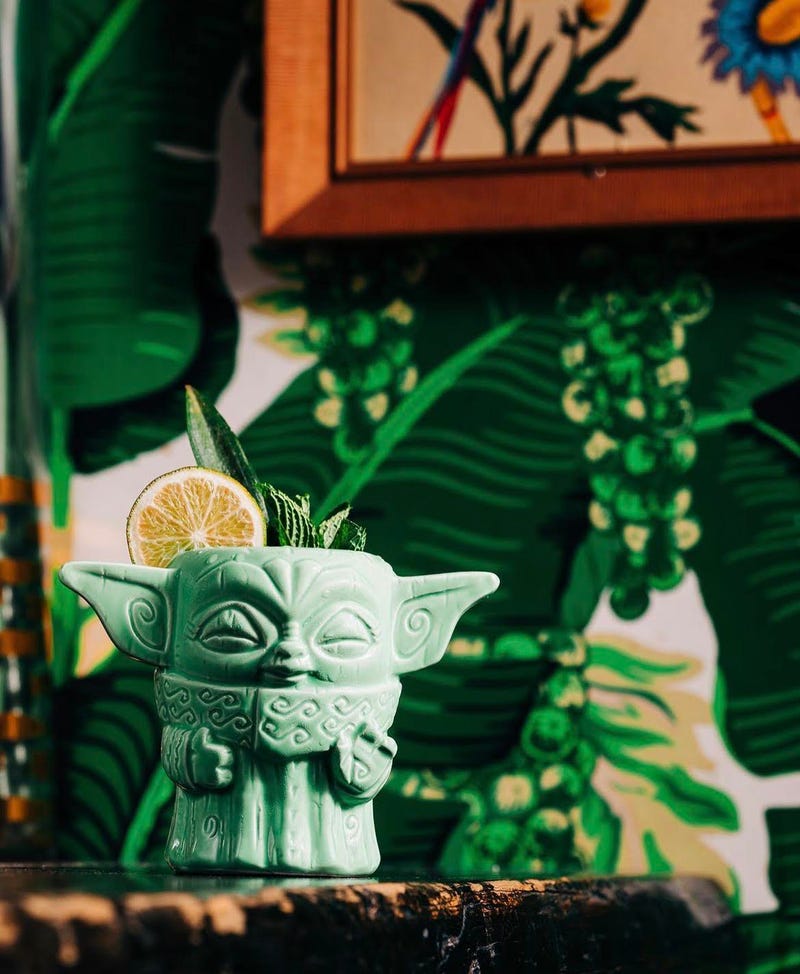 The Jedi Bird