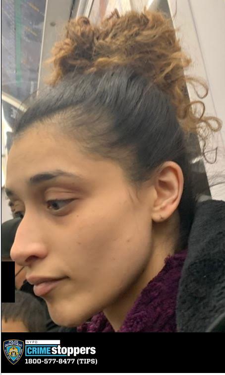 BRONX SUBWAY ATTACK