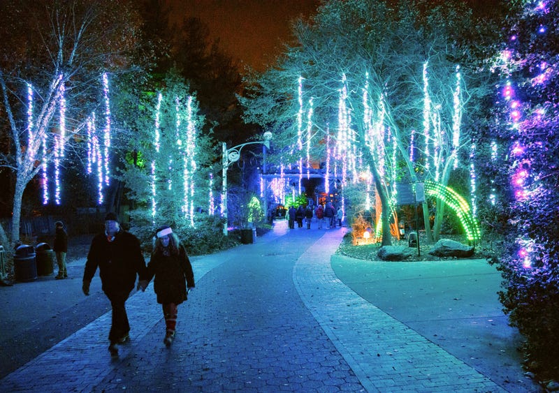 LumiNature at the Philadelphia Zoo