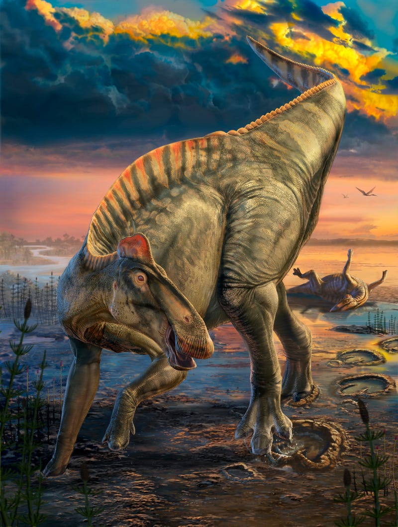 Illustration of duck-billed dinosaur
