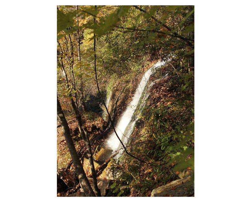 Twin Falls
