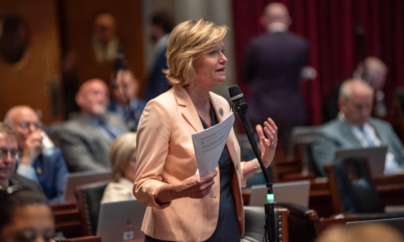 State Rep. Kathy Steinhoff, D-Columbia, speaks on the House floor Wednesday about how property tax provisions in the stadium funding bill affects local schools.