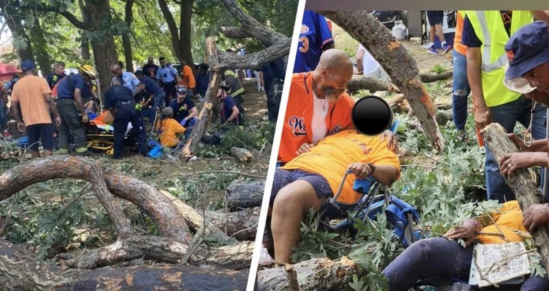 Medics rush to tend to seniors who were struck by a falling tree in Fairmount Park