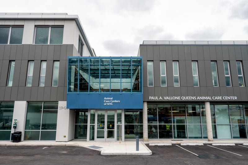 Animal Care Centers of NYC