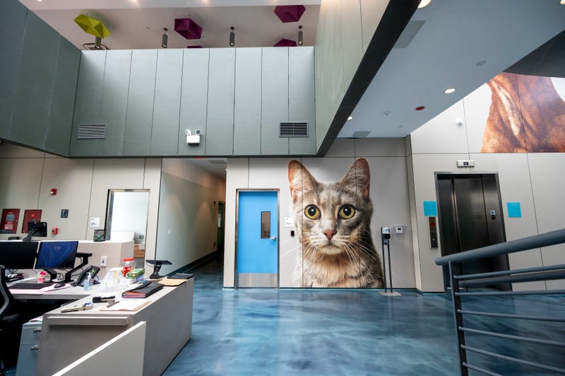 Animal Care Centers of NYC