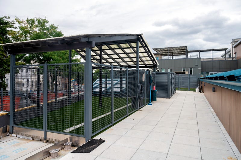 Animal Care Centers of NYC