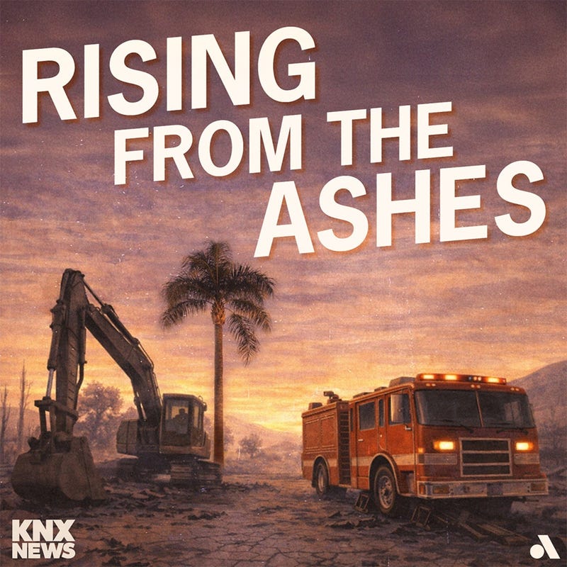 Rising from the Ashes