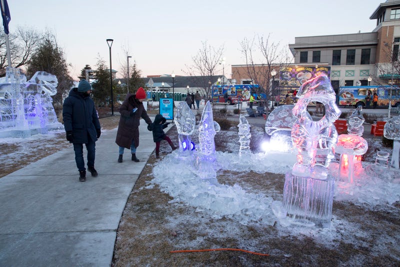 Winter Blast Royal Oak