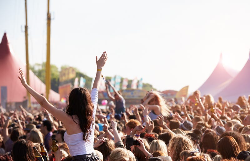 Crowd at summer festival