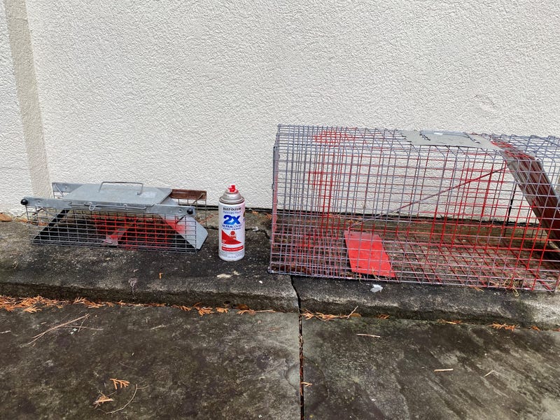 Authorities seized cages and a spray paint can allegedly used in the crime