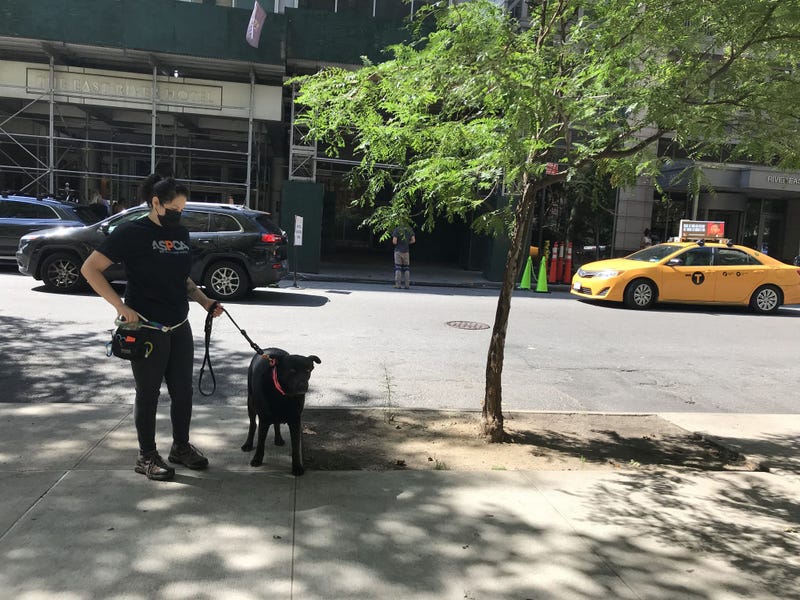 ASPCA