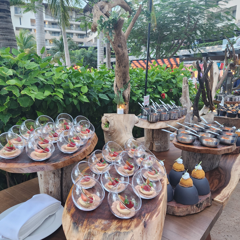 Views at Dreams Natura