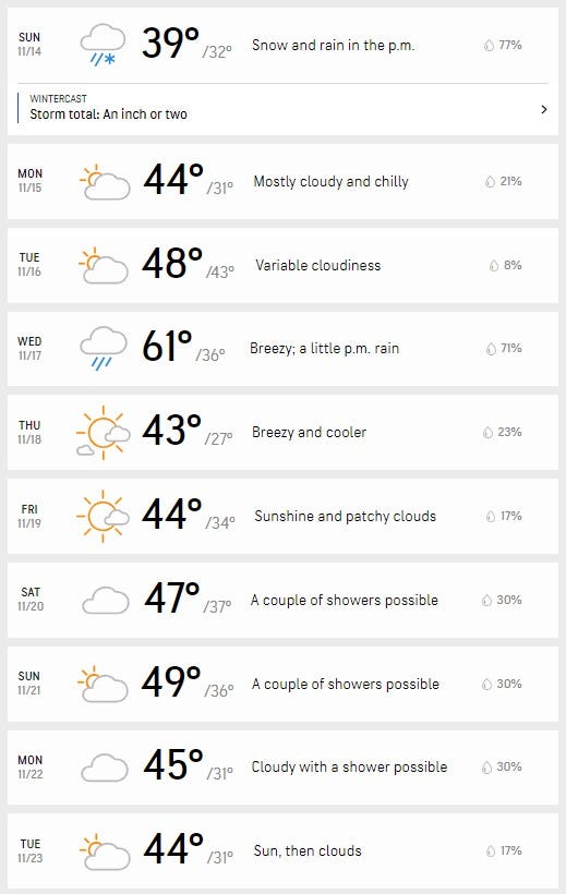 AccuWeather forecast for Detroit