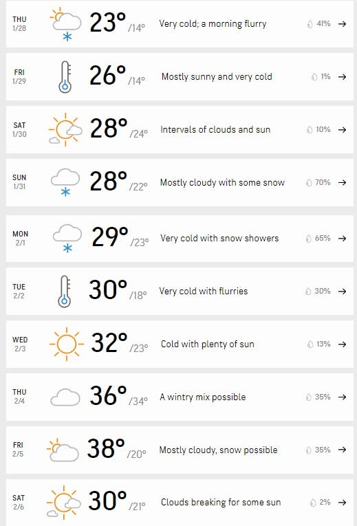AccuWeather forecast for Detroit