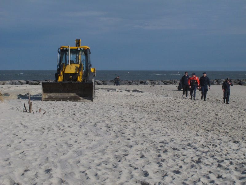 Dead, frozen whale buried on NJ beach; removal was too hard