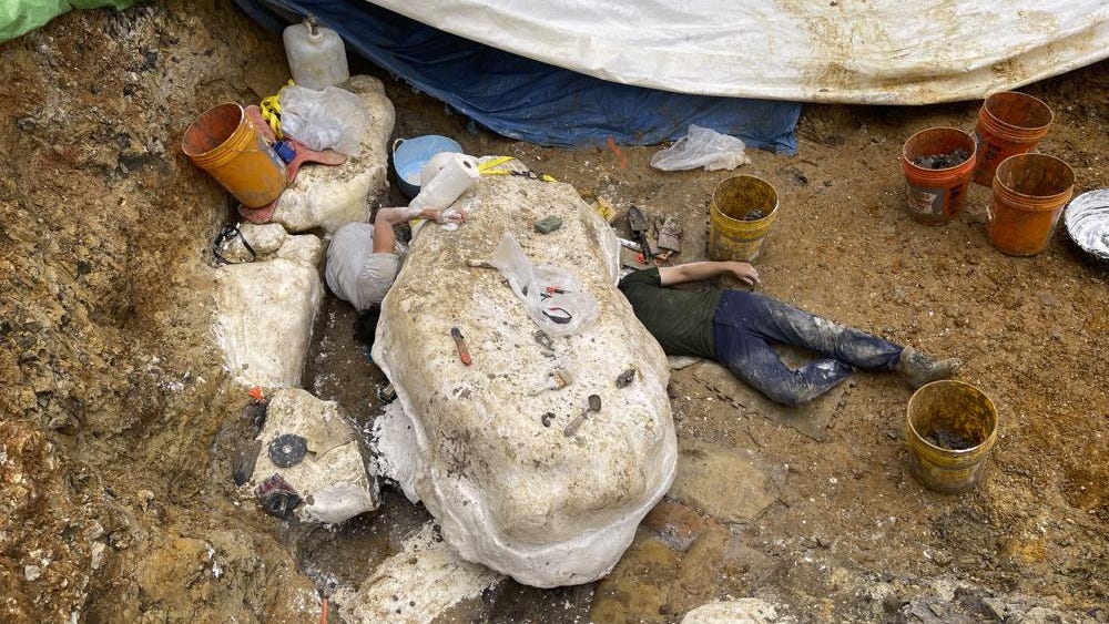 New dinosaur discovery in Missouri is likely 'mass death' site, expert believes