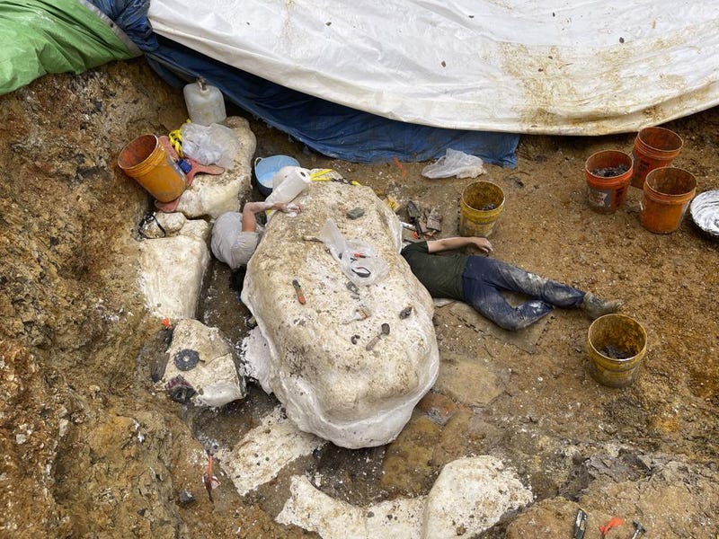 dinosaur found in Missouri