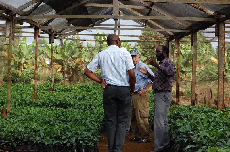 Kikwetu Kenya Coffee Company is very intentional about buying directly from small-scale farms in Kenya, farmers who take a great deal of pride in their harvest.