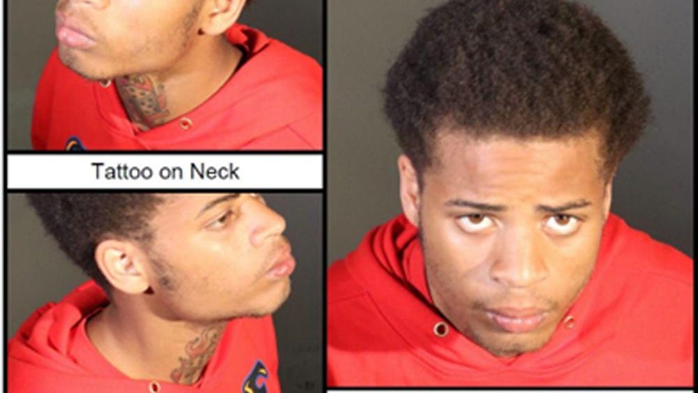 $5K reward for suspect in shooting of Lady Gaga's dog walker