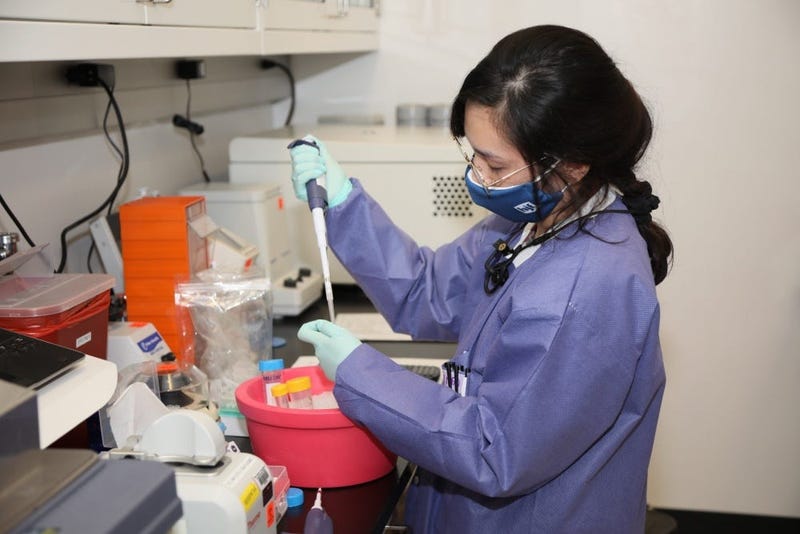 Ursula Tran a research assistant with The Emerging Infectious Disease Branch (EIDB), at the Walter Reed Army Institute of Research (WRAIR), studies Coronavirus protein samples, June 1, 2020.