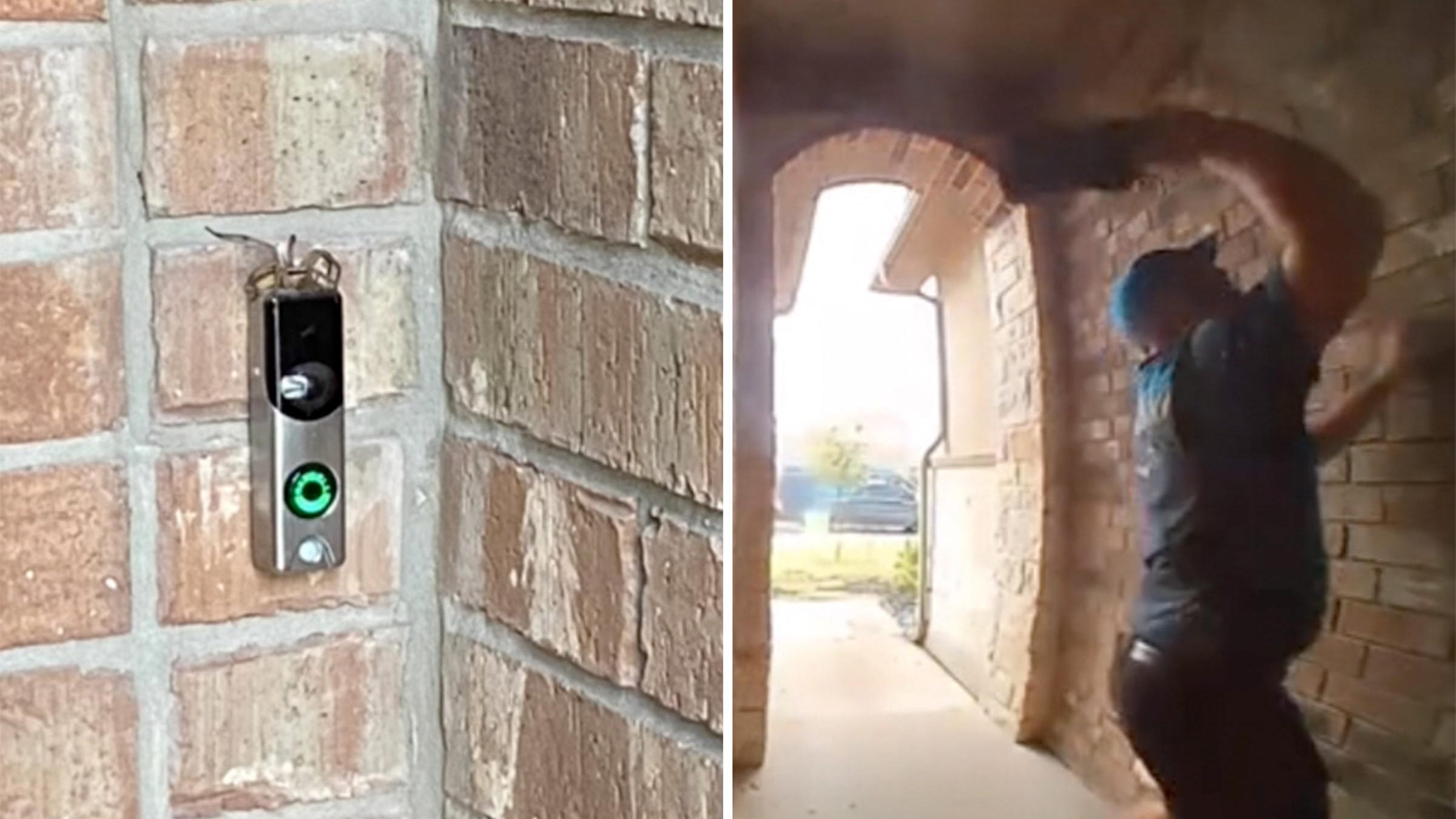WATCH: Amazon driver kills spider for customer too scared to leave the house