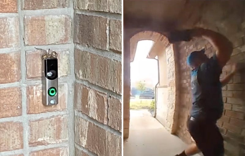 Amazon driver kills spider