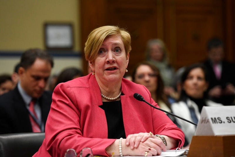 Deputy Assistant Secretary of Defense for Environment Maureen Sullivan at a House Oversight and Reform subcommitte hearing
