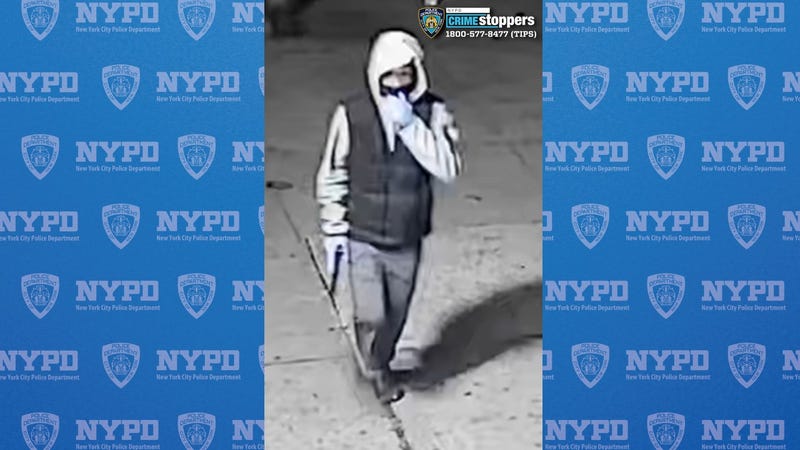 A suspect in the Jan. 1, 2025, Queens mass shooting that injured 10.