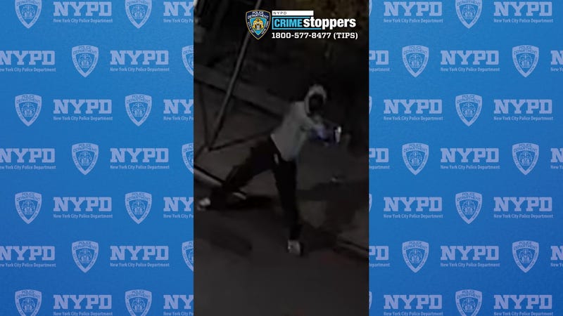 A suspect in the Jan. 1, 2025, Queens mass shooting that injured 10.