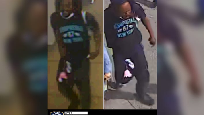 Woman escapes captor who forced her out of subway in Queens sex attack: police