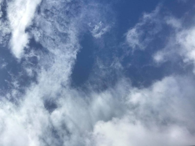 wholesome sky
