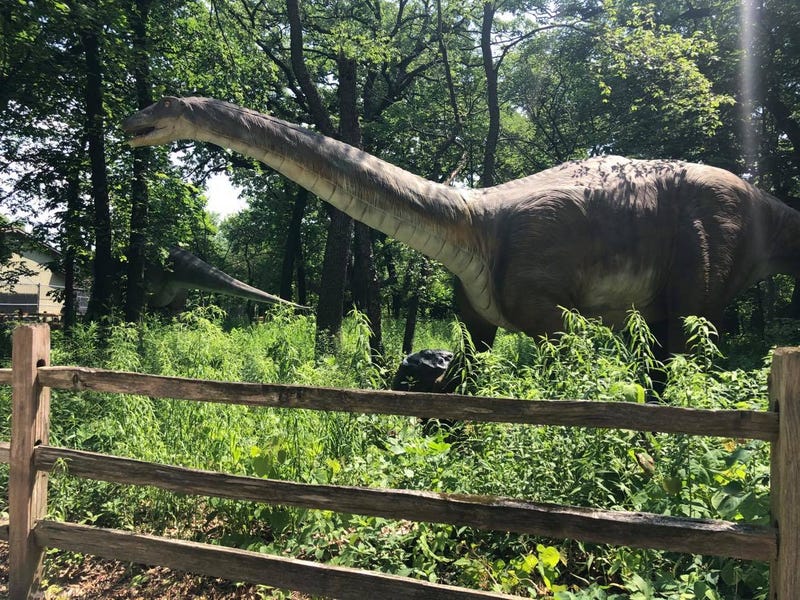 Dinos Everywhere! at Brookfield Zoo
