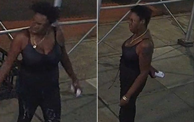 Hammer attack suspect