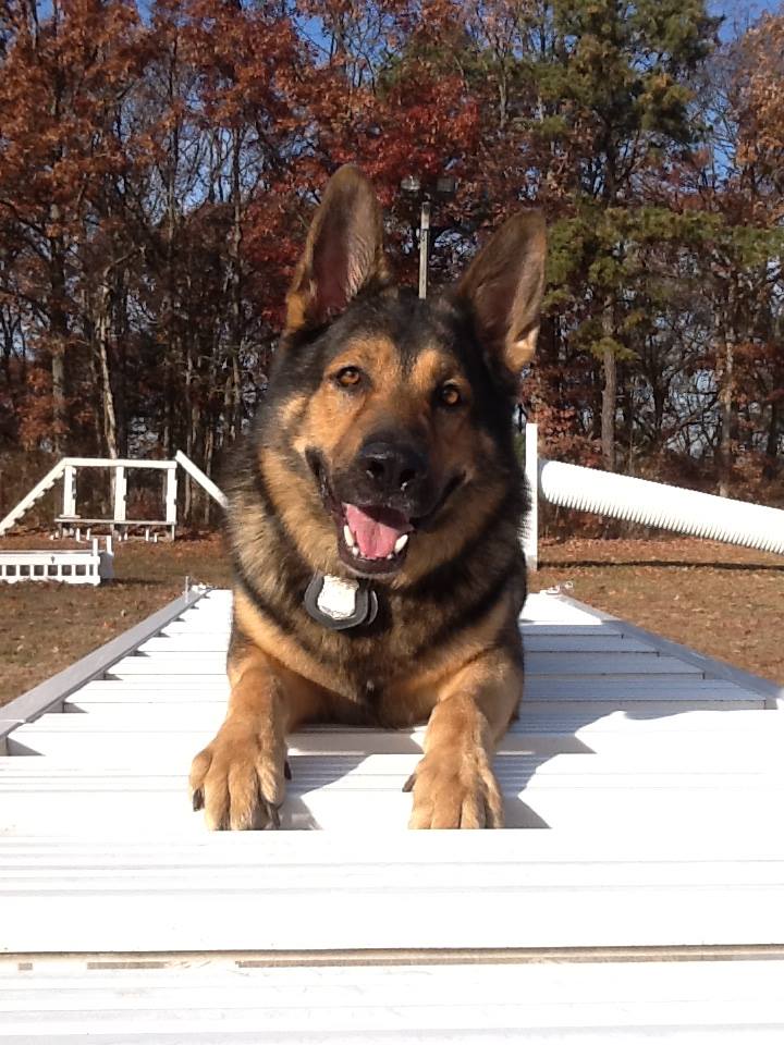 Kai was born on March 25th, 2011 and joined the Nassau County Police Department in March 2012