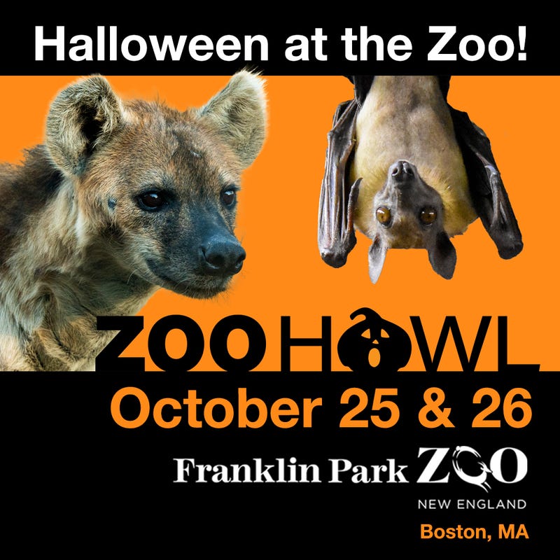 Zoo Howl