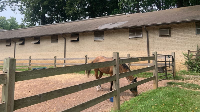 The roof of this equestrian facility needs repair work inside and out.
