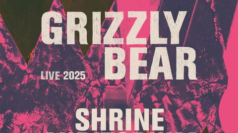 Grizzly Bear