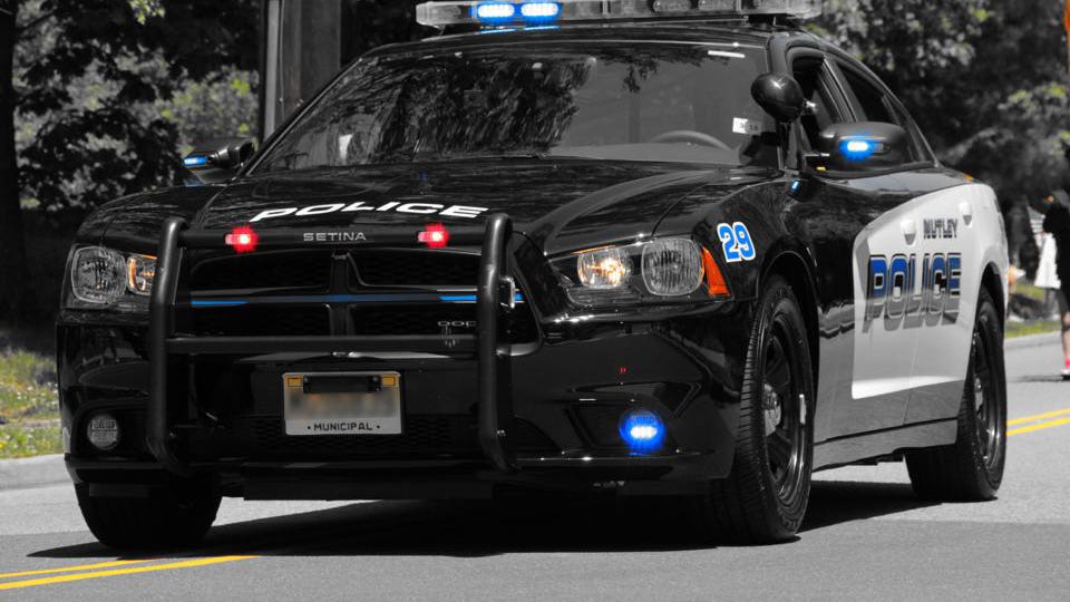 Man's body recovered from underneath NJ park waterfall: report