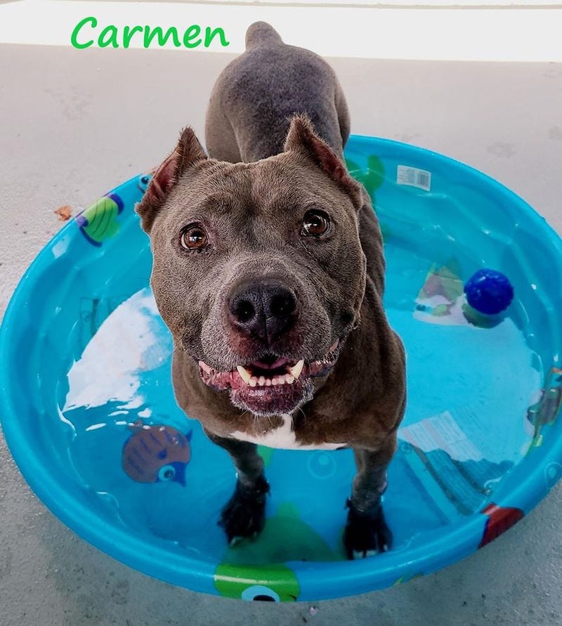 wnw_carmen
