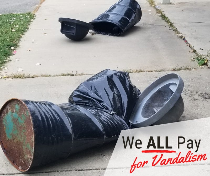 A west suburban park district said it has racked up thousands of dollars in vandalism repair bills in recent weeks and is calling for residents to take action.