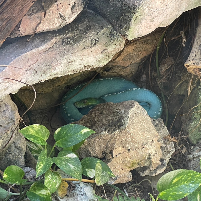 Coop's Adventures at Sandals® Royal Curaçao