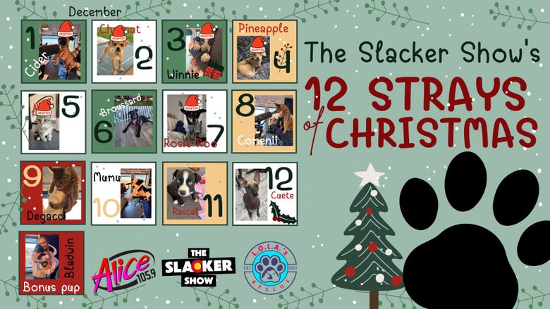 The Slacker Show's 12 Strays of Christmas