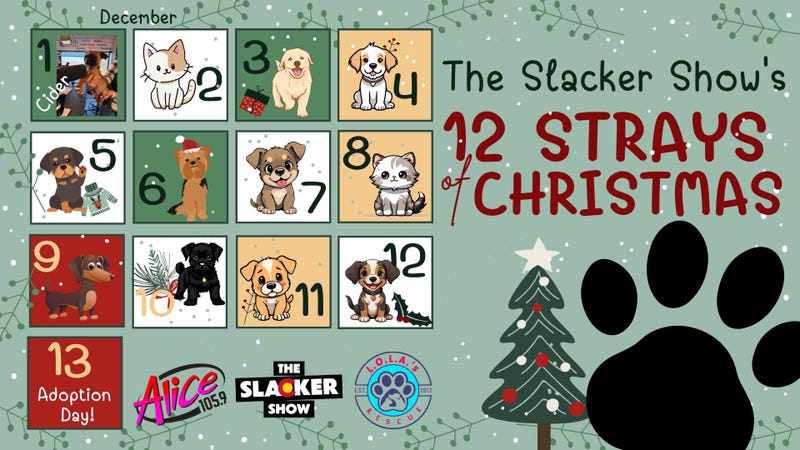 12 Strays of Christmas