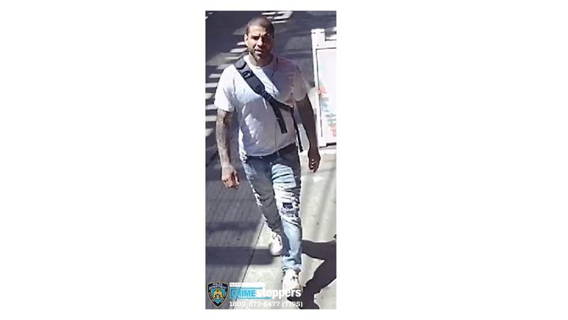 MTA Chain snatch robbery suspect