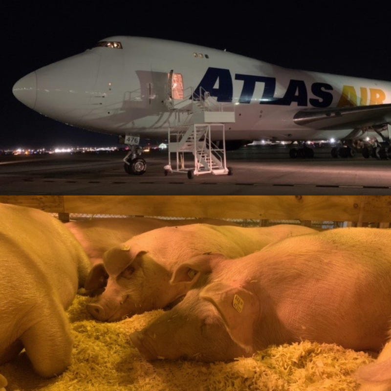 A 747 at St. Louis Lambert International and its passengers