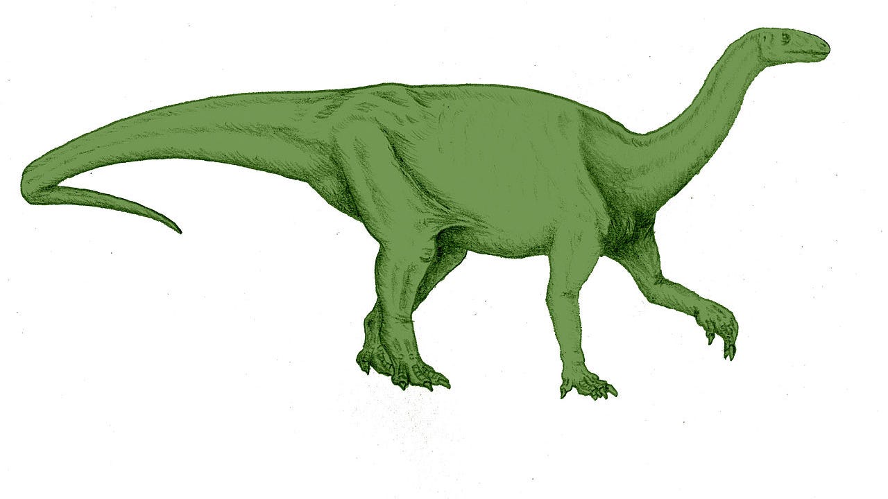 200-million year-old dinosaur footprints discovered