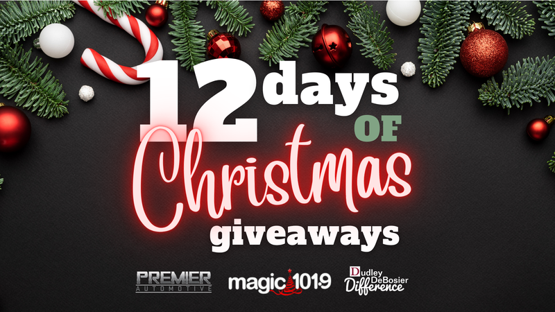 12 Days of Christmas Giveaways