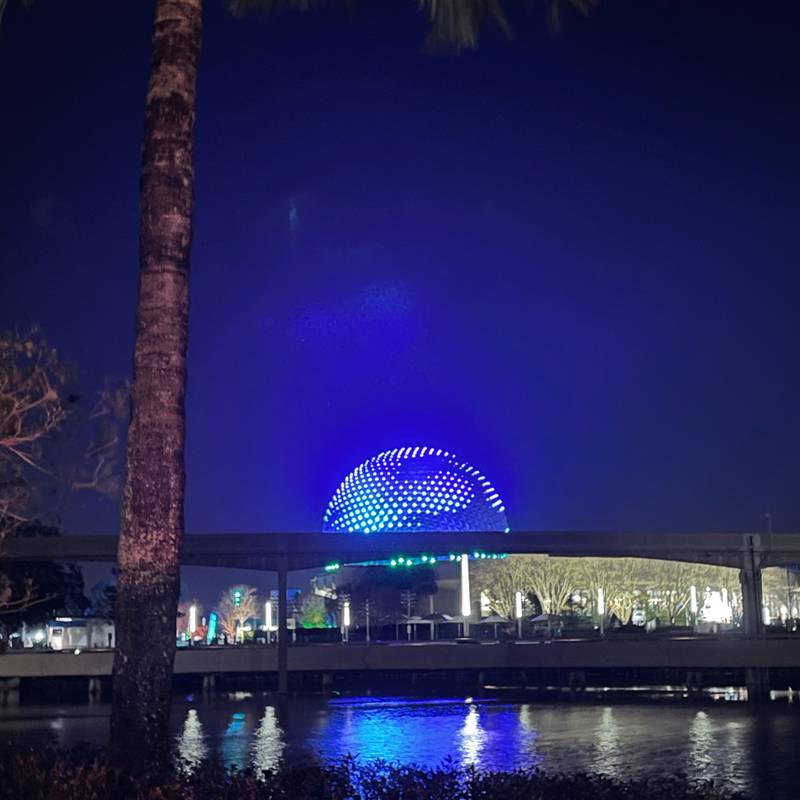 Coop's Adventures at Walt Disney World Resort